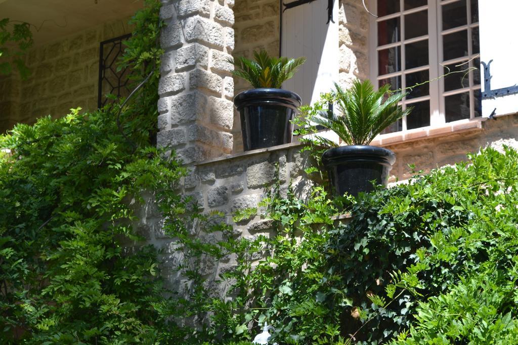 Mas Les Filaos Hotel Carpentras Kültér fotó